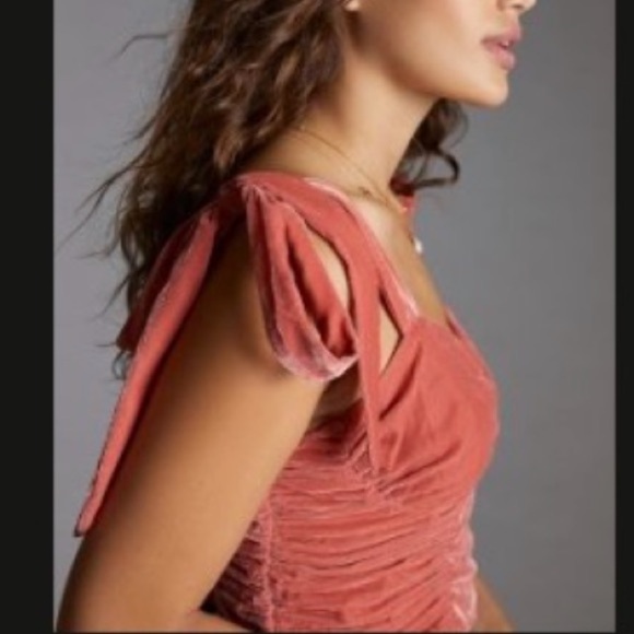 NWT Anthro Pink Rose Forever That Girl Velvet Corseted Tie-Strap Top - Picture 2 of 9